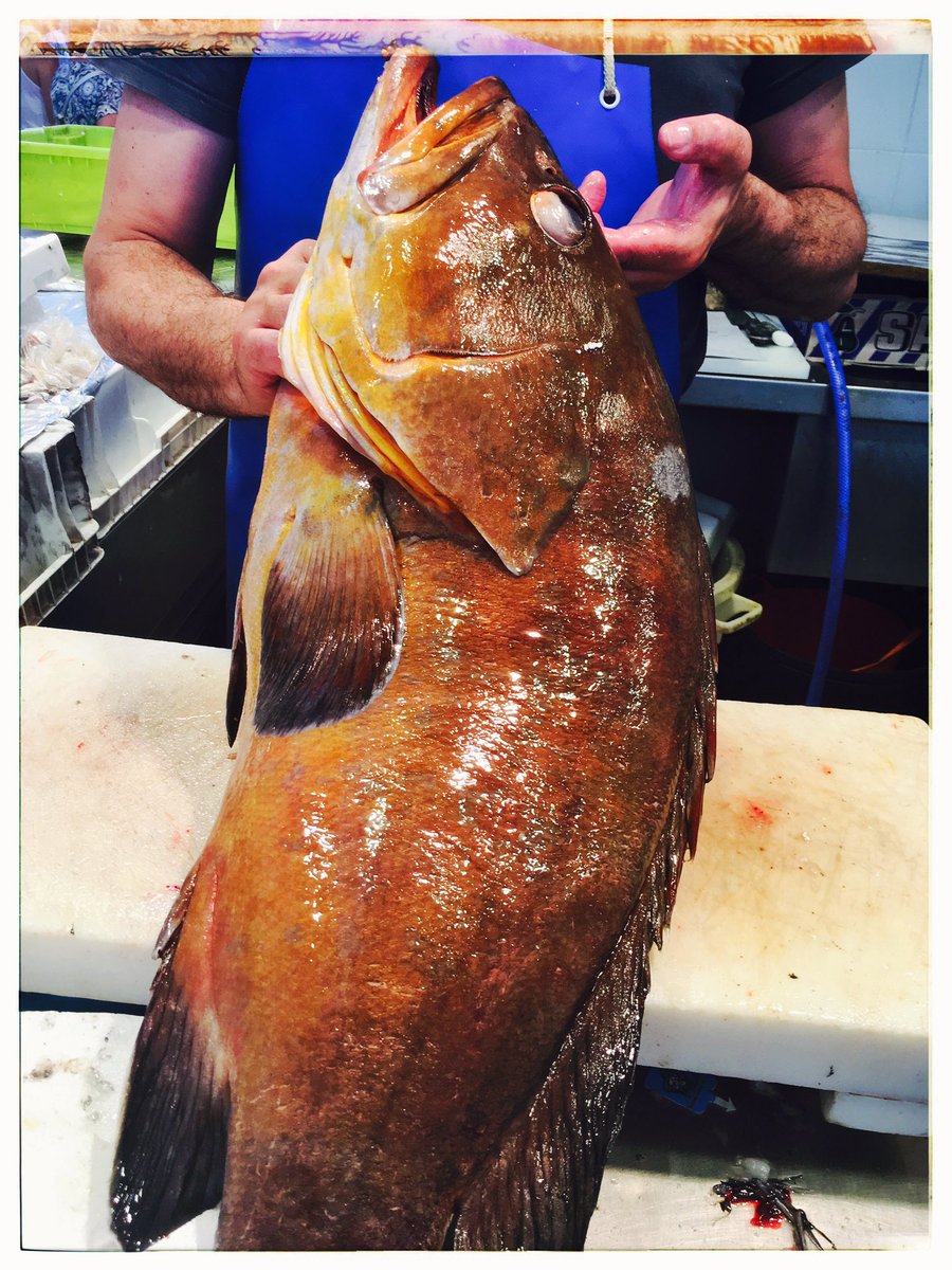 Solo producto ✌️️✌️️