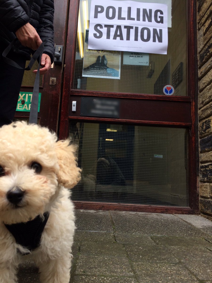 hellobirdieuk's tweet photo. #dogsatpollingstations Moss & I proudly voted Labour. Get in! #votelabour #pupsfirstvote #moss4labour https://t.co/OW3iHQsrAA