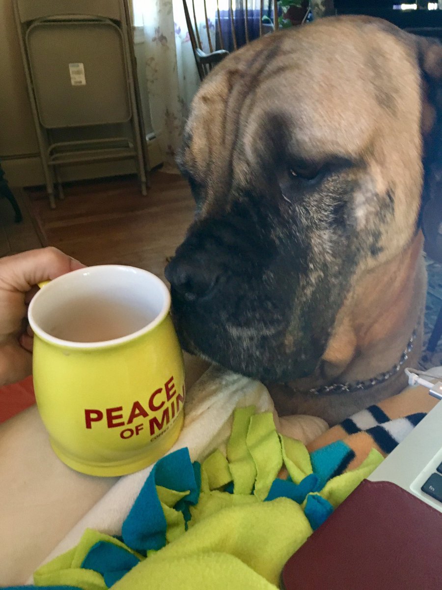 LisaRiniolo's tweet photo. Good mornings WNY https://t.co/WqkxiMnfDM