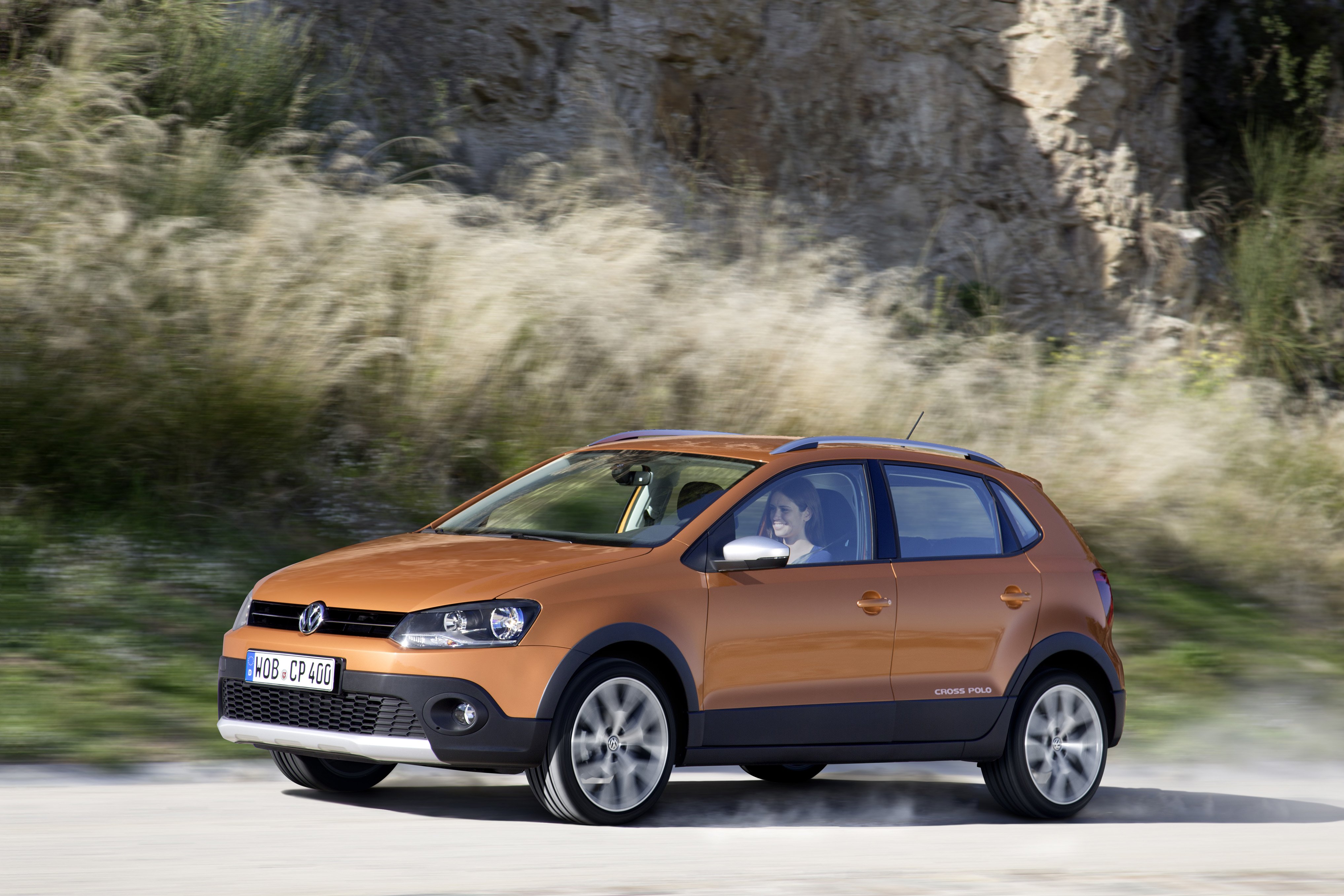 Polo 4 Cross