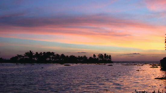 ManjishtaResort's tweet photo. Alappuzha Photo: Sunset, backwaters in Kerala.

#allepy #backwater https://t.co/yqhGUk2oRT
