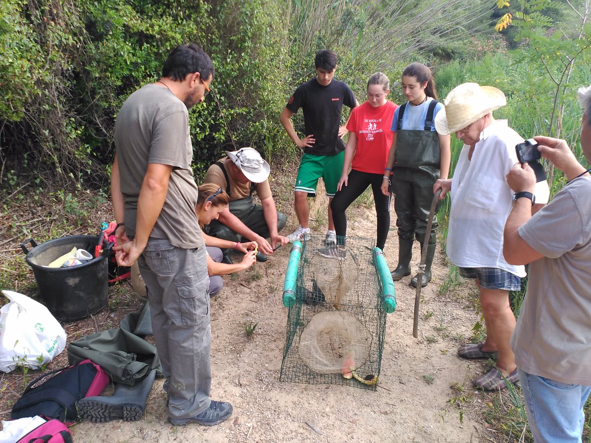 nyceducacion's tweet photo. Ahir primera revisió de trampes del #ProjecteEmys a Torrent. Sis #Mauremys i cap exòtica! https://t.co/WEKEuLLvFs