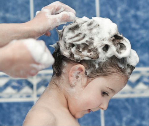 The Action Lab tweet media