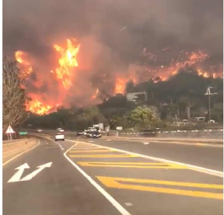 kzngov's tweet photo. To our counterparts @WesternCapeGov &amp; all those affected by the #CapeStorm &amp; #KnysnaFire you're in our thoughts &amp; prayers. #BeSafe. 🙏 https://t.co/jKopZCcXSF