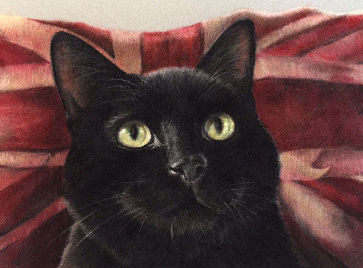 RunsWithPencil's tweet photo. I've been given kind permission to share my recent commission with you guys, I give you Palace x Painted in pastels on velour #art #painting https://t.co/cjwg4QKsuf