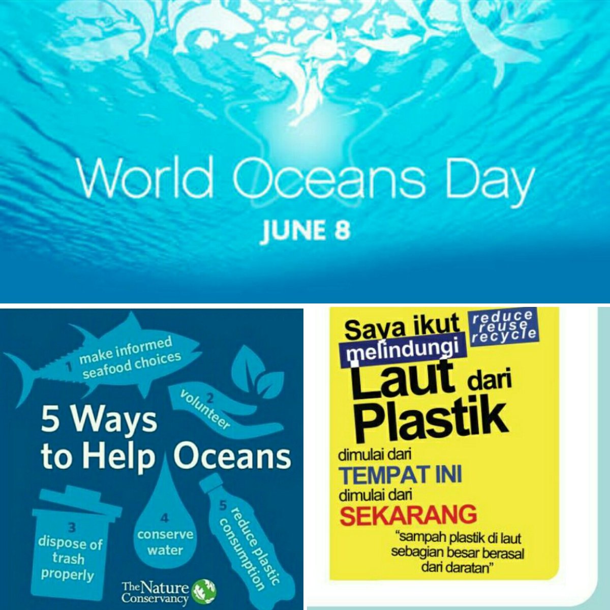 fkppb_jatim's tweet photo. Selamat Hari Laut Sedunia.. Mari kita jaga laut kita untuk masa depan anak cucu kita #lindungilautdariplastik #untukINDONESIA https://t.co/fQfJYfXF5P