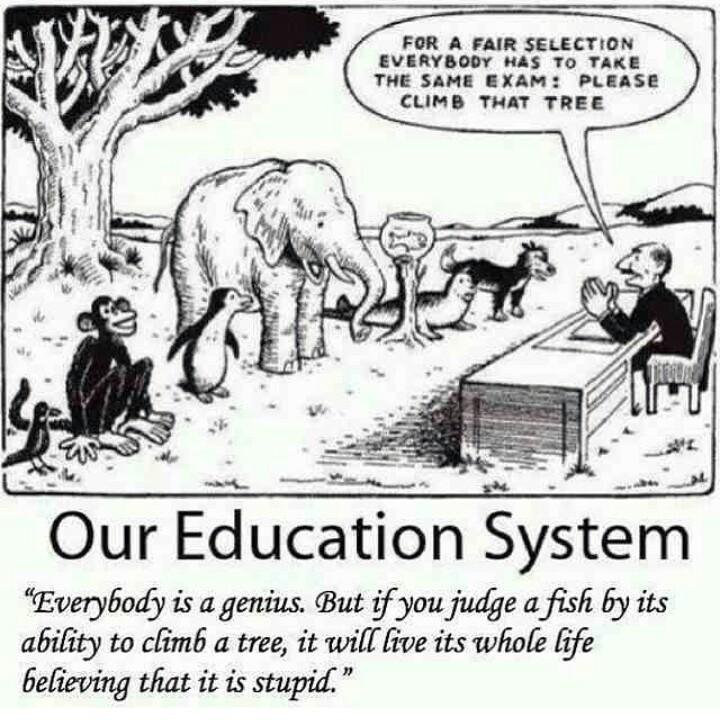 NGRTrends's tweet image. Our education system.
