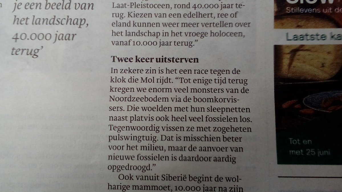 MarloesKraan's tweet photo. Hoe de #puls impact heeft op paleo ecologisch onderzoek; #boomkor haalde schatten naar boven; van toen we nog naar Engeland liepen. @trouw https://t.co/fHsQFF8Yct