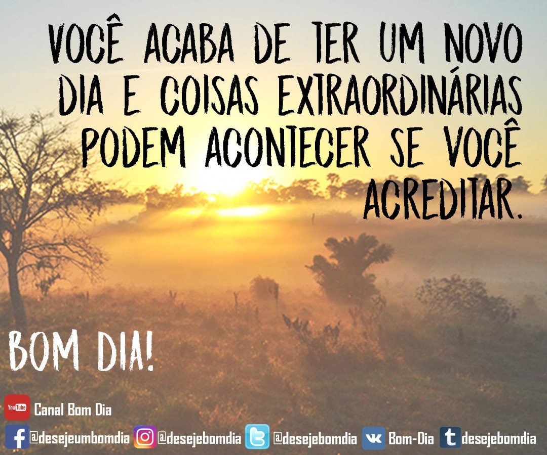 Um Bom dia on Twitter: Um Bom dia on Twitter: