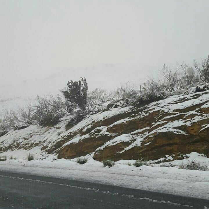 Germanstop's tweet photo. Ceres and surrounding areas very windy still. https://t.co/ht1bbilcKb