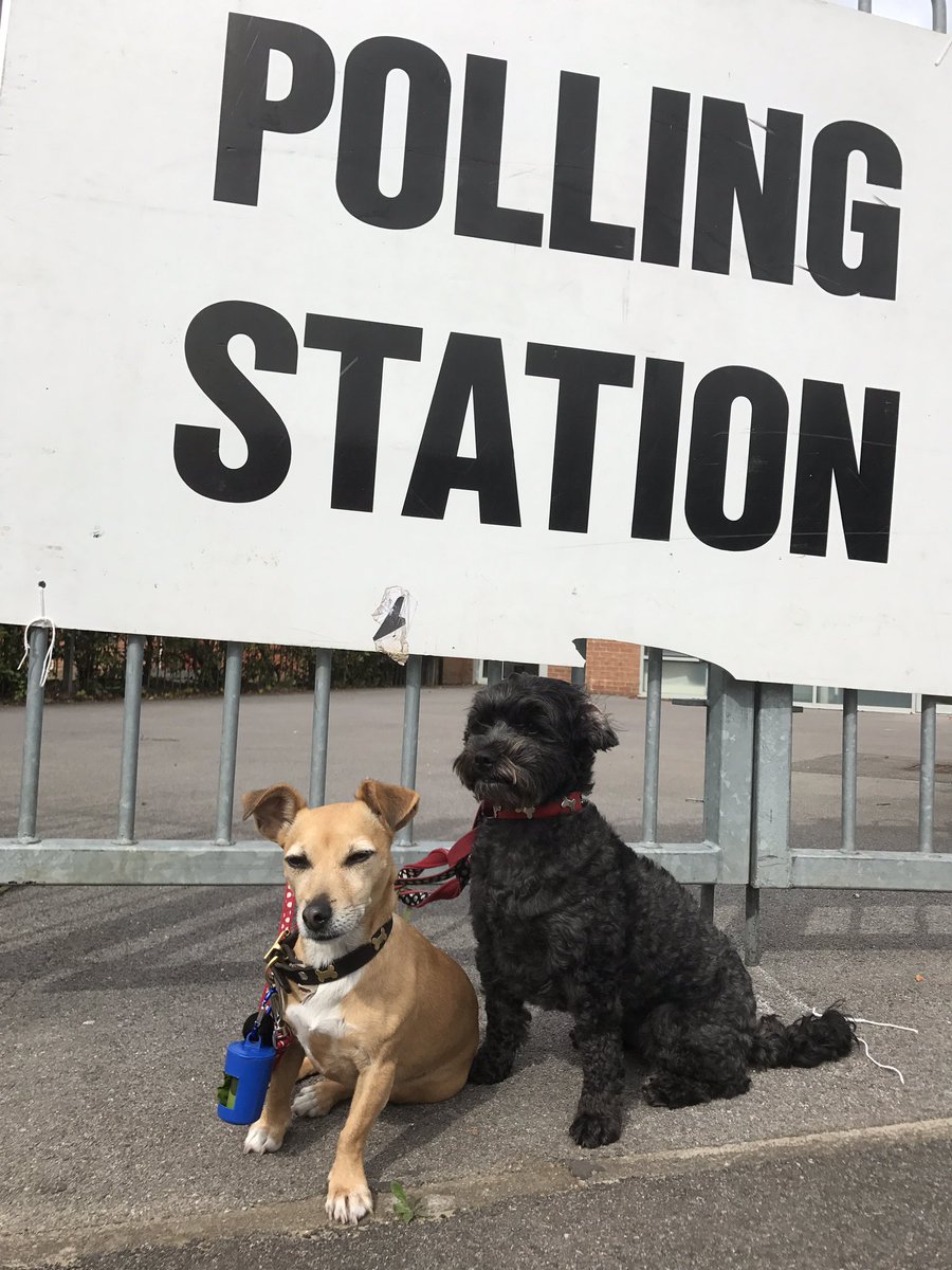 These 2 clowns voted for more treats &amp; to poo where they like, including on the NHS. Tory bastards. #dogsatpollingstations #votelabour