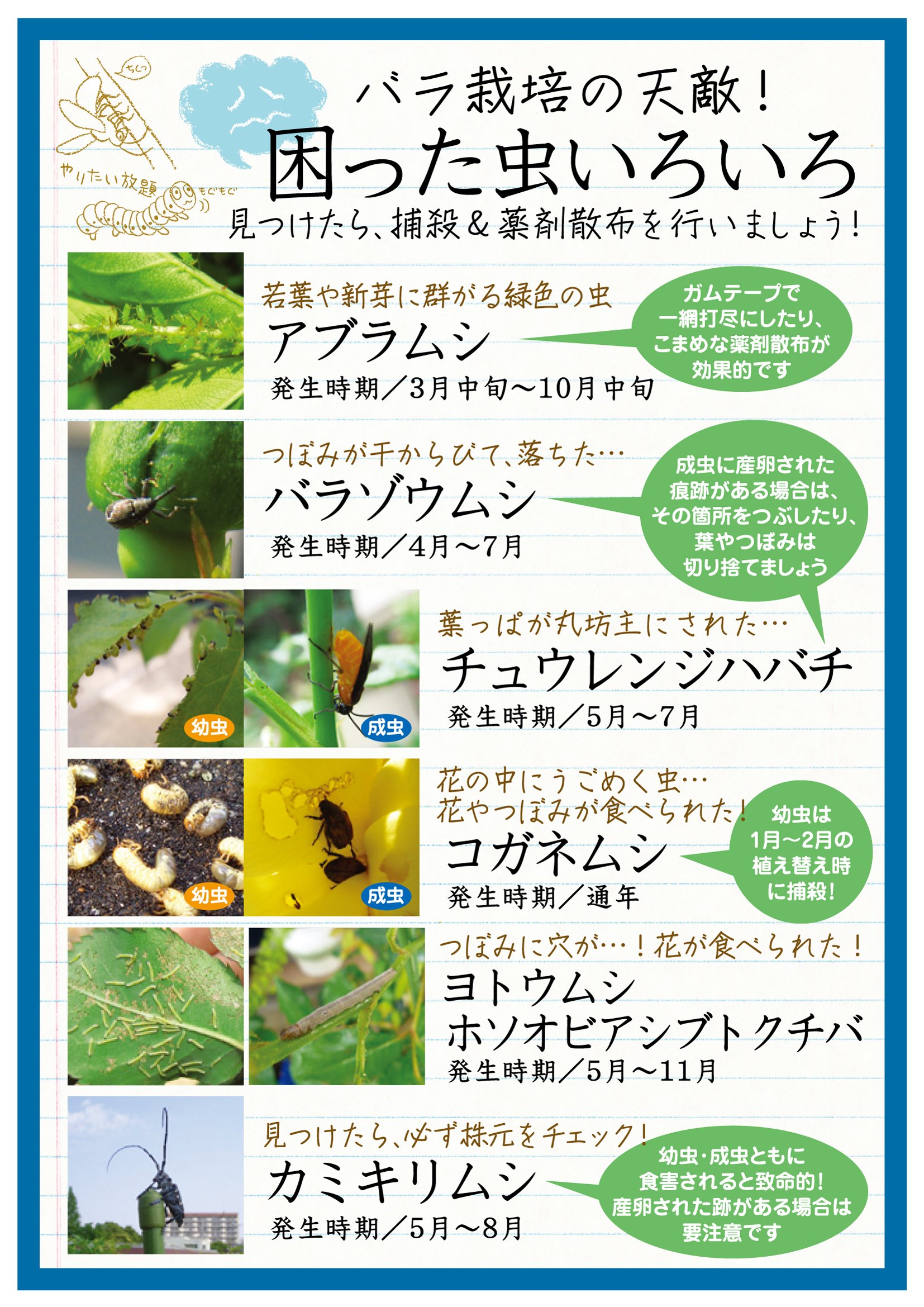 花ごころ通信 公式 Pa Twitter 虫の情報は お食事中でしたら申し訳けございません バラの害虫たち 食害 産卵 仲良くバラ と共存できると良いのですけれど バラも大切 虫も大切 世の中バランスが大事です 少々の虫ではへこたれない バラの株
