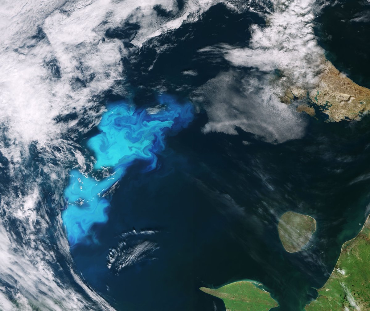 ESA_EO's tweet photo. Happy #WorldOceansDay from the #BarentsSea! Lose yourself in the swirls of this #AlgalBloom captured by #Sentinel3-A https://t.co/mzTfgTWkgL https://t.co/lTGHQUoNnj