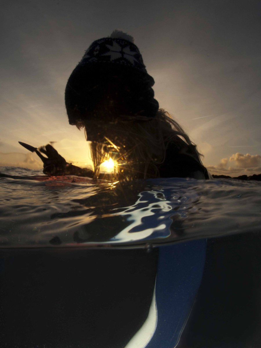 Living Sea Therapy tweet media