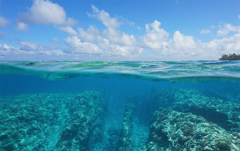 Idag uppmärksammar vi Världshavsdagen! 🌊
universeum.se/nyheter/havens…
#WorldOceansDay