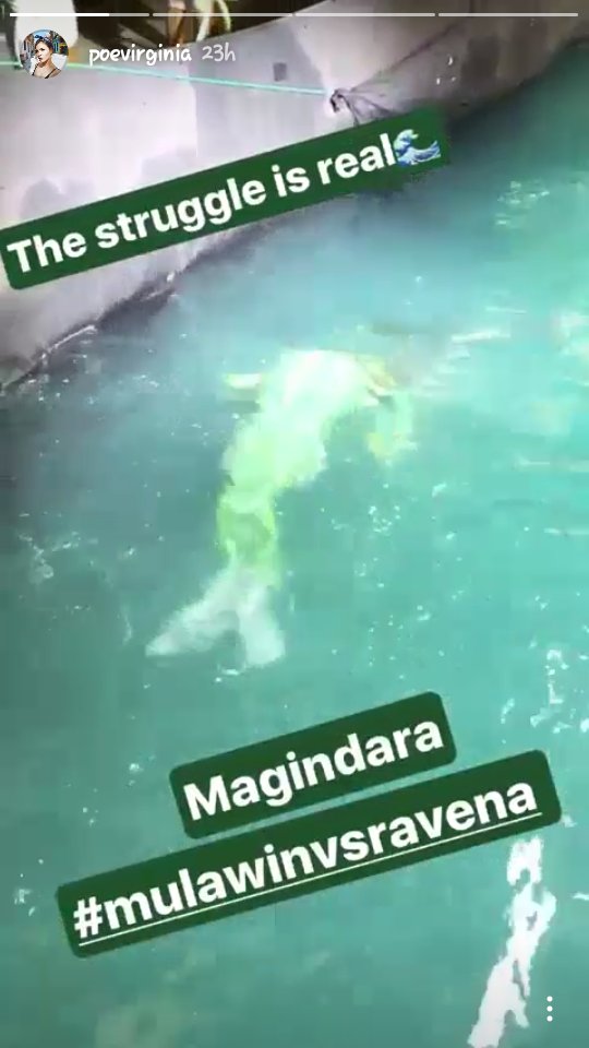 MMagindara's tweet photo. Andito si Magindara lumalangoy na ulit @LoviPoe  @MvR_Anya_ 
#MVRPagkakaibigan https://t.co/QIhF6Y1kGX