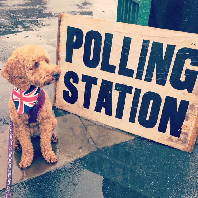 View image on Twitter