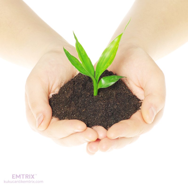 Awal bulan ini, dunia merayakan World Environment Day, Dears. Tepatnya pada 5 Juni. Yuk, sama-sama menjaga lingkungan untuk masa depan. :)
