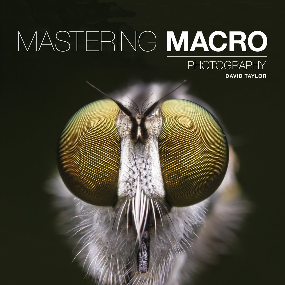 *New* title OUT NOW: Mastering Macro Photography by David Taylor - watch the trailer: ow.ly/WhnK30cq3Rb #macrophotography #photography