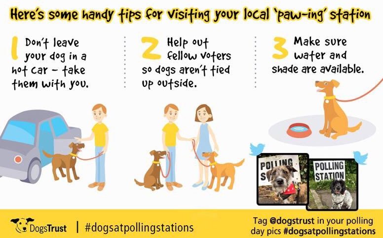 Bordersunited's tweet photo. Taken from @DogsTrust https://t.co/FxX1DvMJ6K