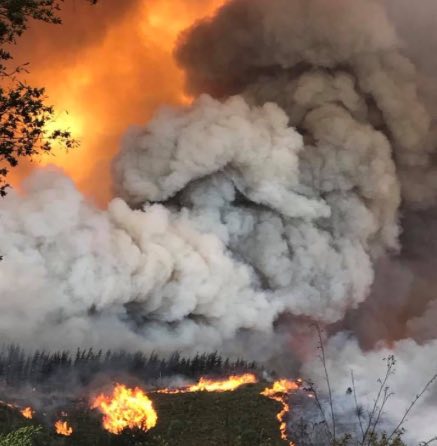 CrashDetech's tweet photo. LIVE: Knysna fire: 10 000 forced to flee https://t.co/gGwnOfBftF #Evacuation #roadsafety #CrashDetech https://t.co/fEG8N6xHhU