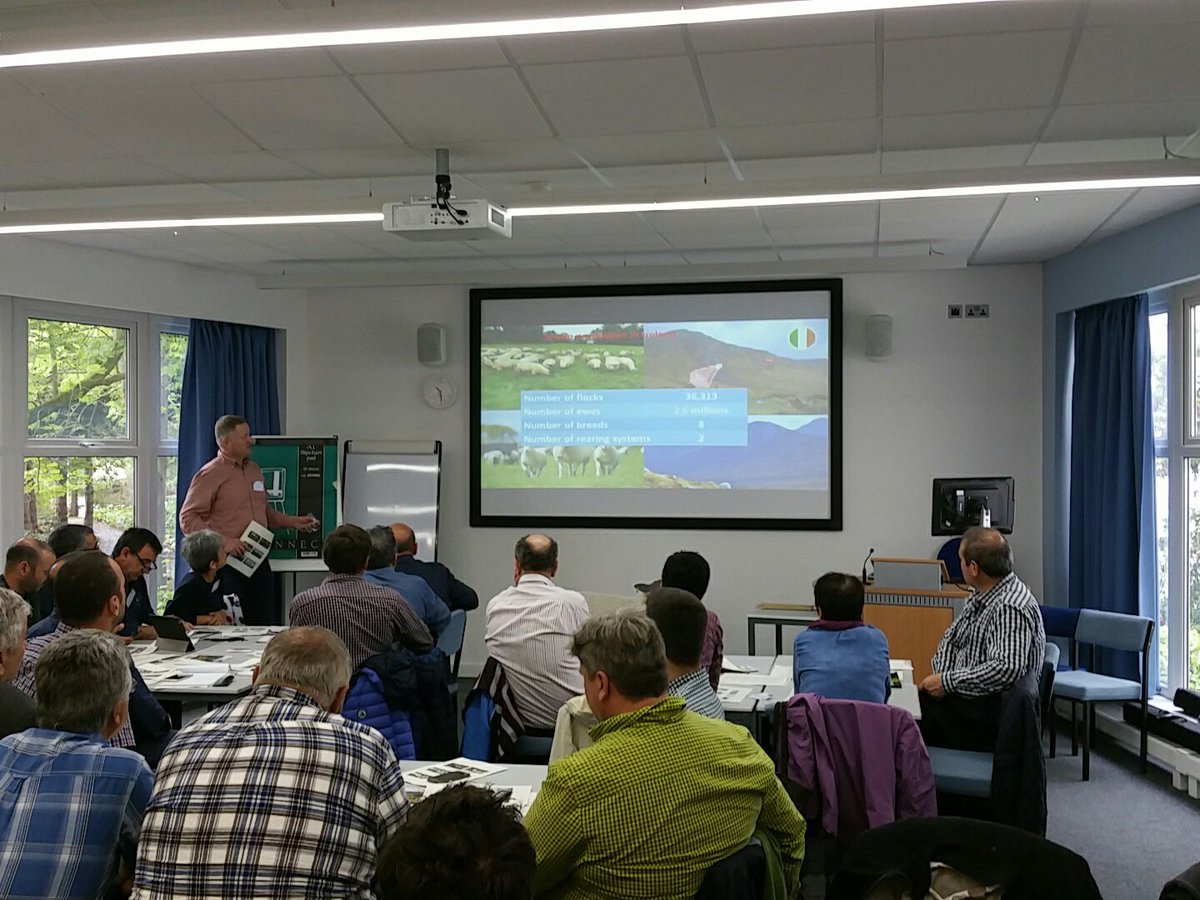 EuroSheepEU's tweet image. Ireland rearing system presentation #sheepnet @SRUC @EU_H2020 @InstitutElevage