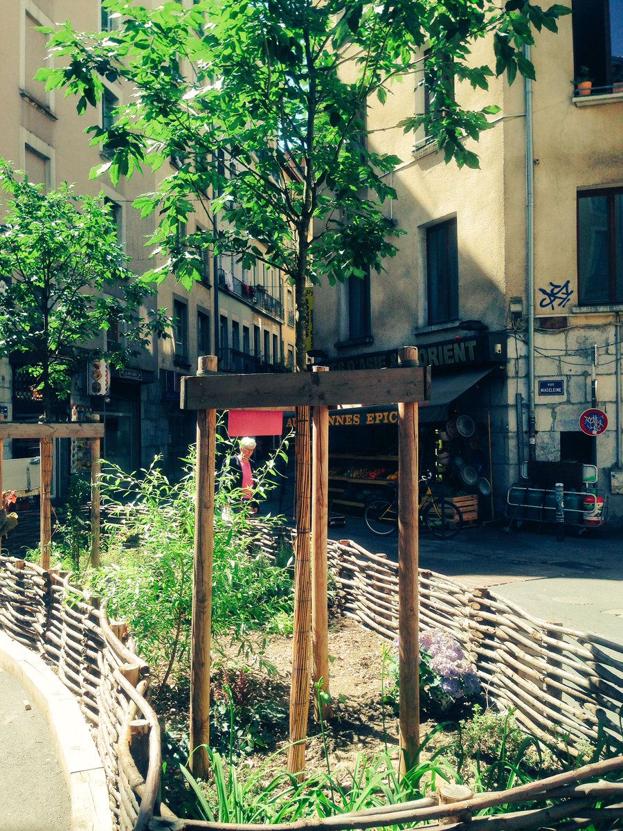 jsoldeville's tweet photo. Au coin de la #rueChenoise. Espoir de futures floraisons. #Grenoble #jaimemaville https://t.co/P8Zw4ZLOdo