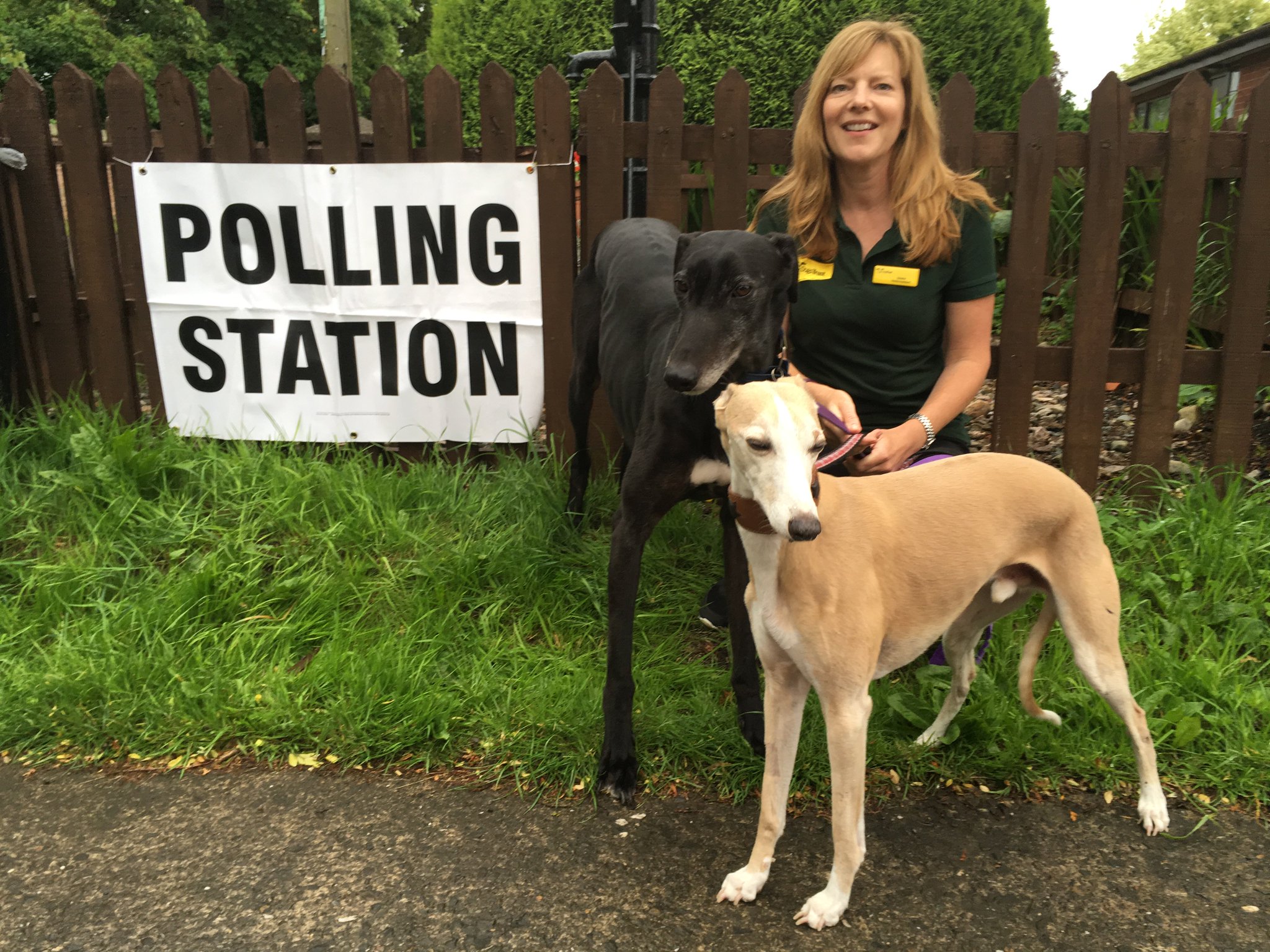 DogsTrust Shrewsbury on Twitter "TwitterUK DogsTrust Emma from DT