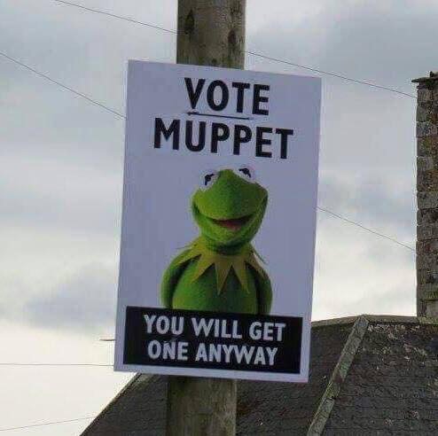 SimonEdmands's tweet photo. Don't forget to vote today! #Vote2017 #VoteMuppet #GeneralElection #Election2017 #GeneralElection2017 #GE2017 @adamhillscomedy #TouchTheFrog https://t.co/8vOa3dFzev