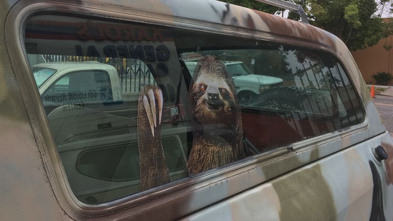 My_Octane's tweet photo. #Sloths Beat Road Rage https://t.co/ayqf9MtGCj via @Jalopnik https://t.co/5irN4MhKbV