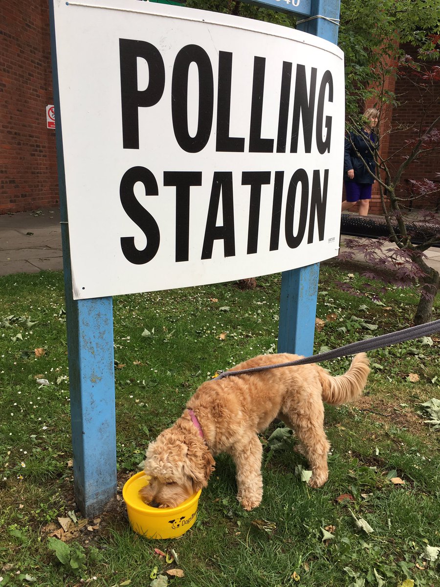 DogsTrust's tweet photo. There's going to be a serious lack of work going on in most work places today... #soznotsoz #dogsatpollingstations @TwitterUK π https://t.co/13hOMrjEUo