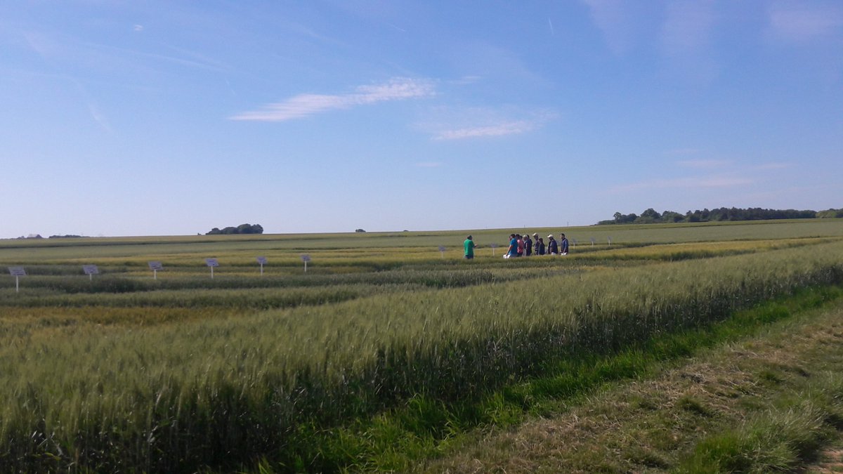 CAIDF's tweet photo. PLATEFORME Essonne 
#Désherbage #Variétés #Couverts #Chanvre #abeilles #InnovAction https://t.co/G84FI906i2