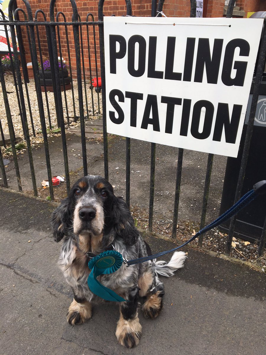 A late arrival for a new candidate in the South Holland and the Deepings constituency #GE17  #dogsatpollingstations