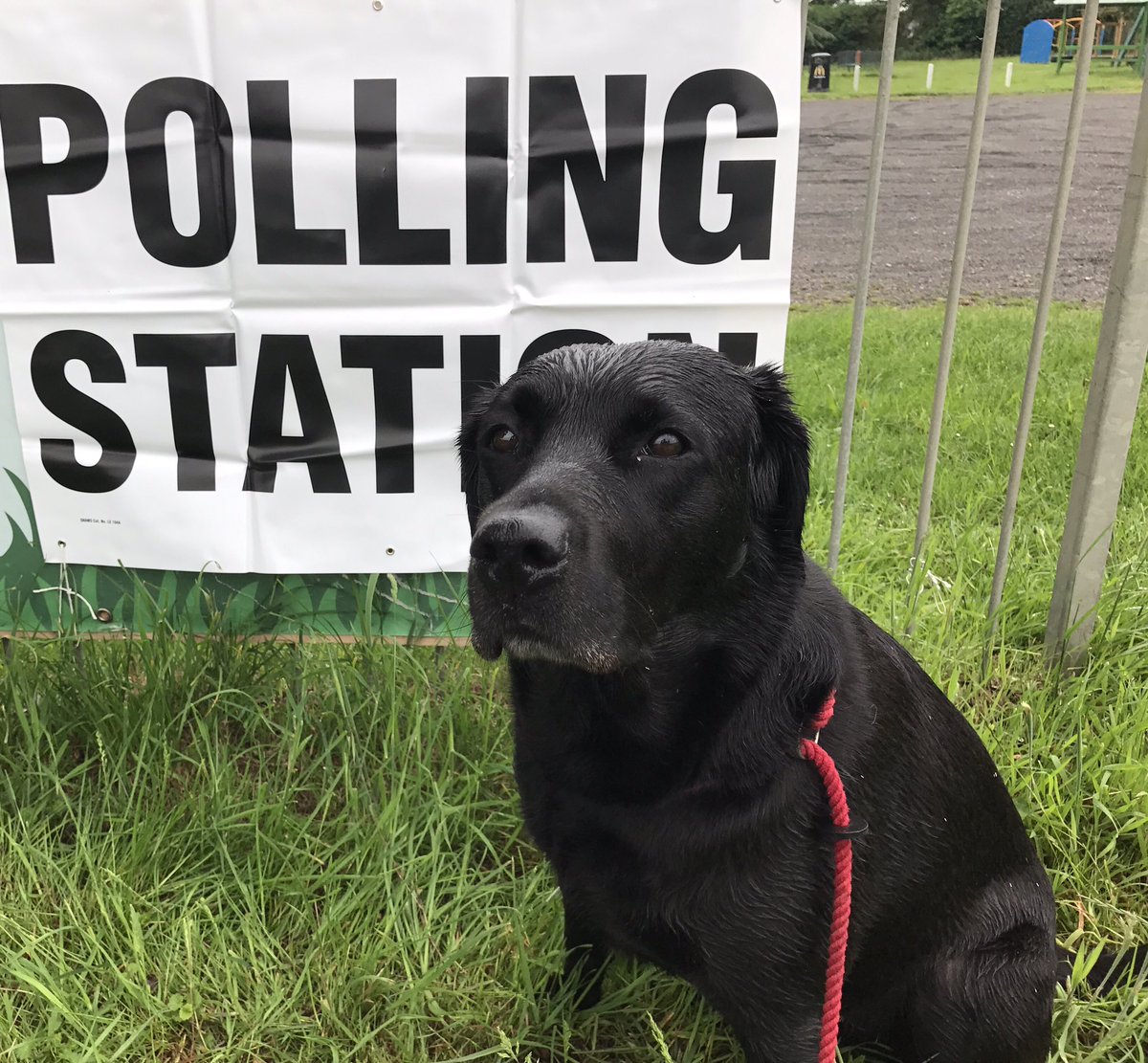 chilworth's tweet photo. #dogsatpollingstations @Conservatives https://t.co/tJaZ1c7A74