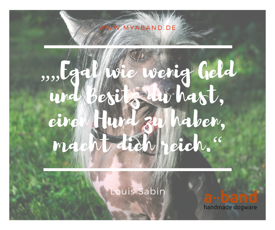 abanddogware's tweet photo. #weeklyfluff #hundeleben #hundaufinstagram #quotes #dogquotes #hundeblog #aband #dogware #zitate https://t.co/tyNcexGZgJ