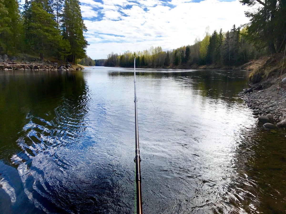 fishprep's tweet image. In therapy. 
Share in it on fishprep.com 
#fishingtherapy