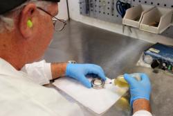 Getting Bearing Lubrication Right- Check out this great advice!

bit.ly/2sWuqX1

#bearing #lubrication #SMB #Bearings <a href="/SMBtechgeeks/">SMB Bearings Ltd</a>