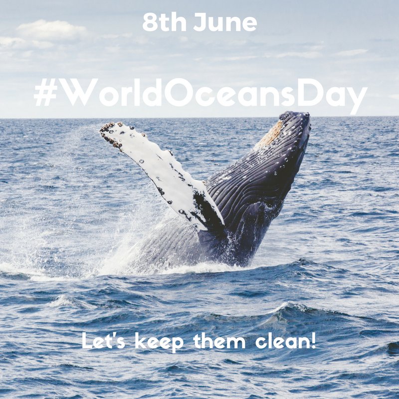 LDIFoundation's tweet photo. Ocean - this precious resource is important to us all in so many ways. Respect. Preserve. Protect. #WorldOceansDay #SaveOurOceans https://t.co/8qWE8JUa9g