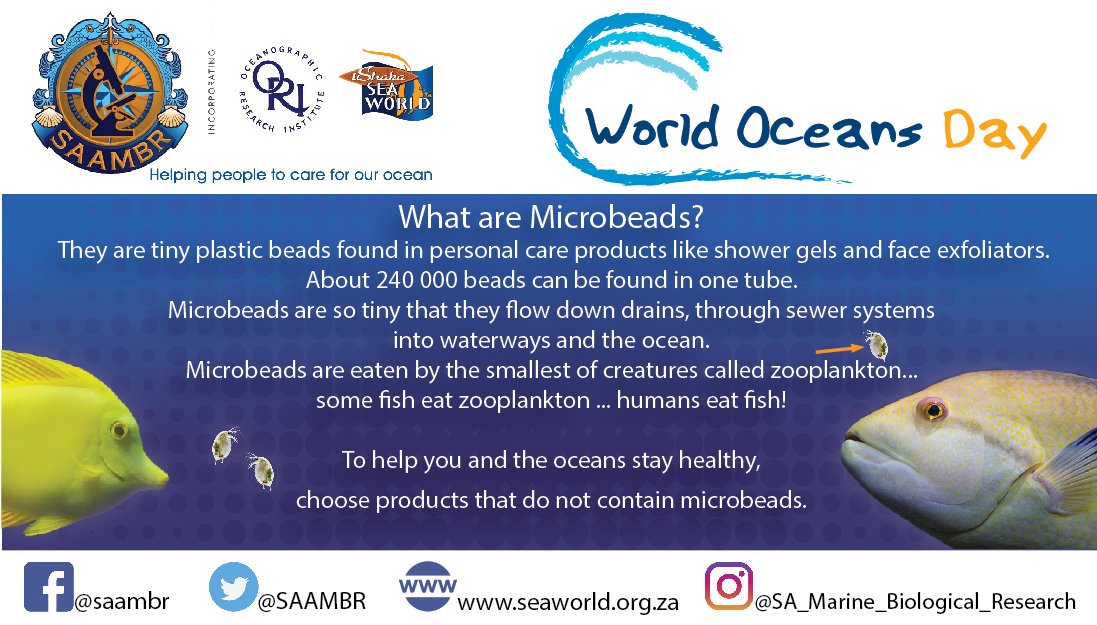 Saambr On Twitter A1 Microbeads Found In Personal Care Products