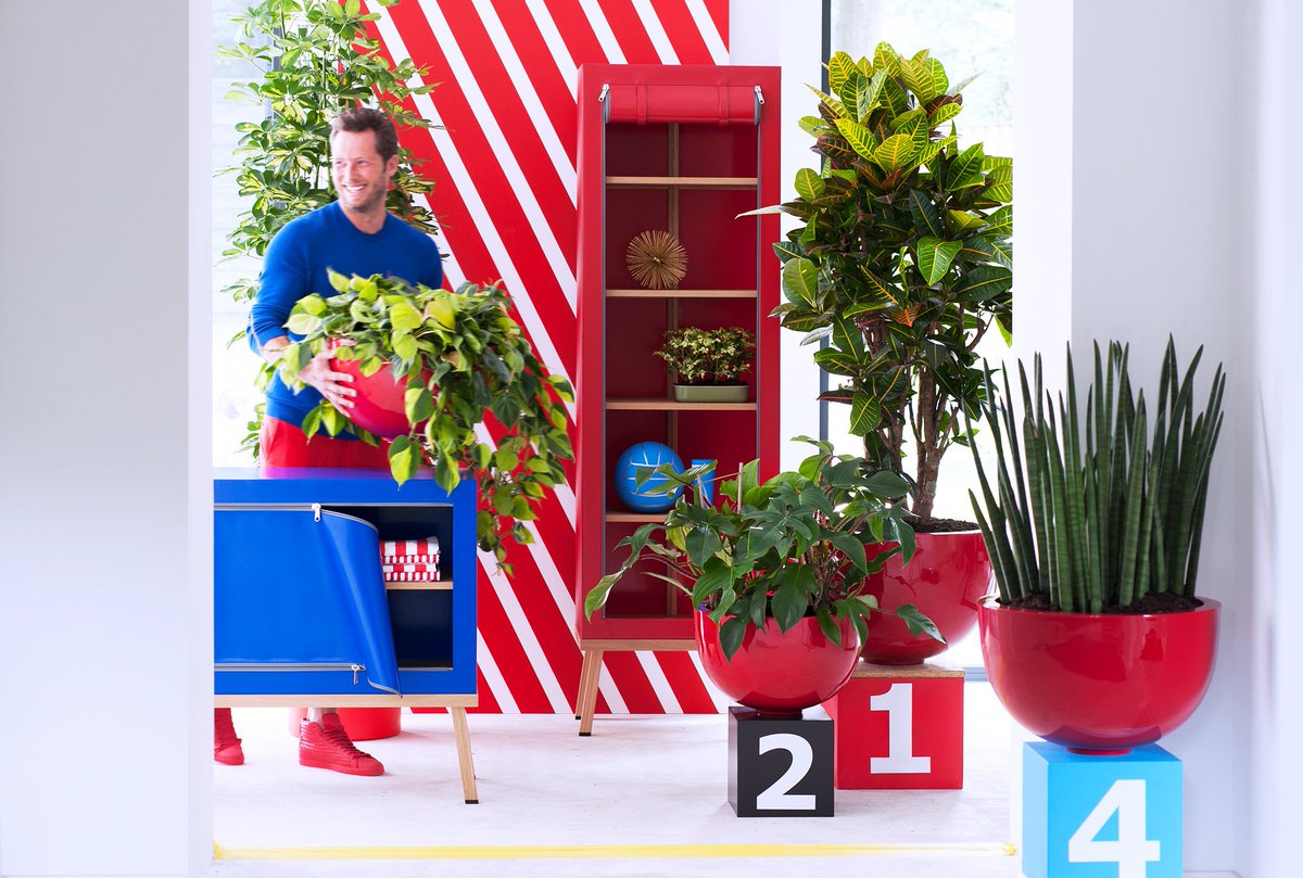 watplantendoen's tweet photo. Welke plant past het beste bij jouw stijl? https://t.co/fV1M306QUf #mannenplanten #wpvdm #mwpd https://t.co/Ui8LEfokVW