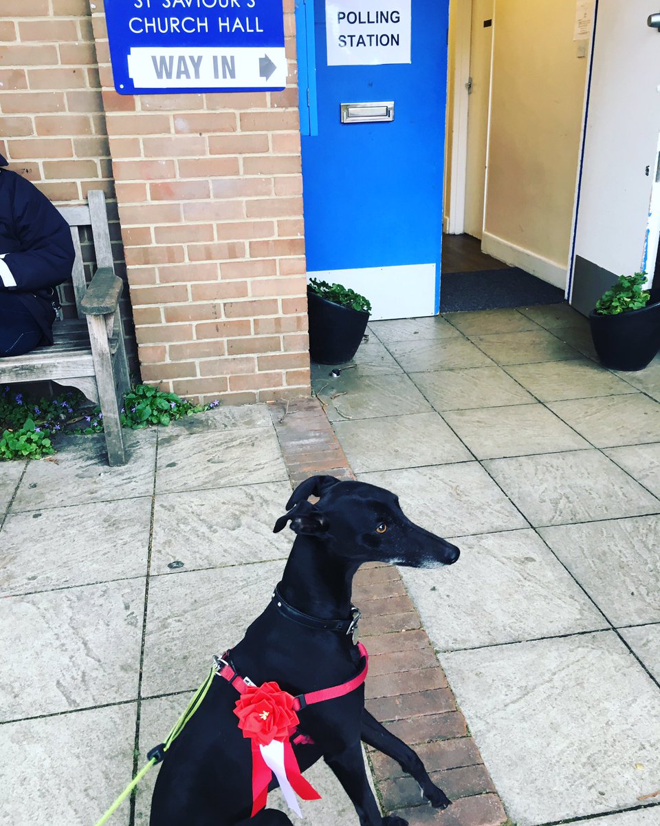 Keri Webster tweet media