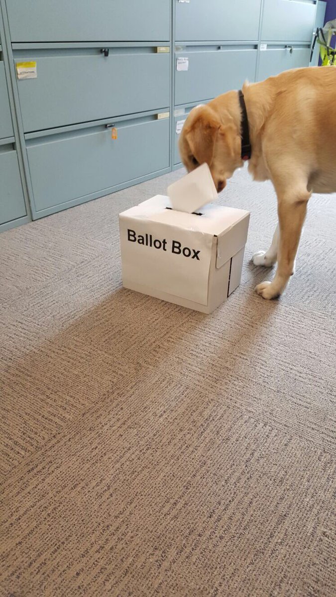 Dasher posting his folded ballot paper through the slot of the ballot box