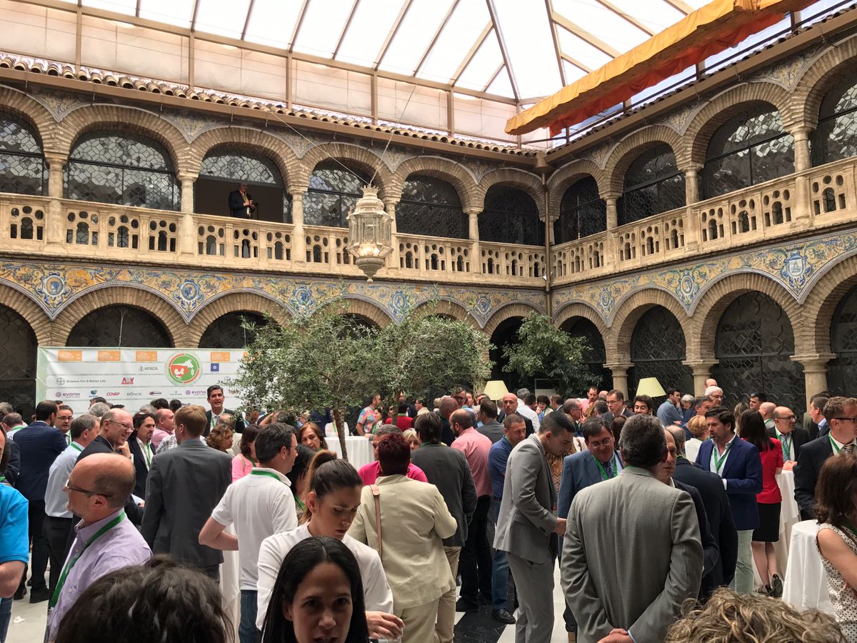 Congreso AA2017 (@congresoaa17) on Twitter photo 