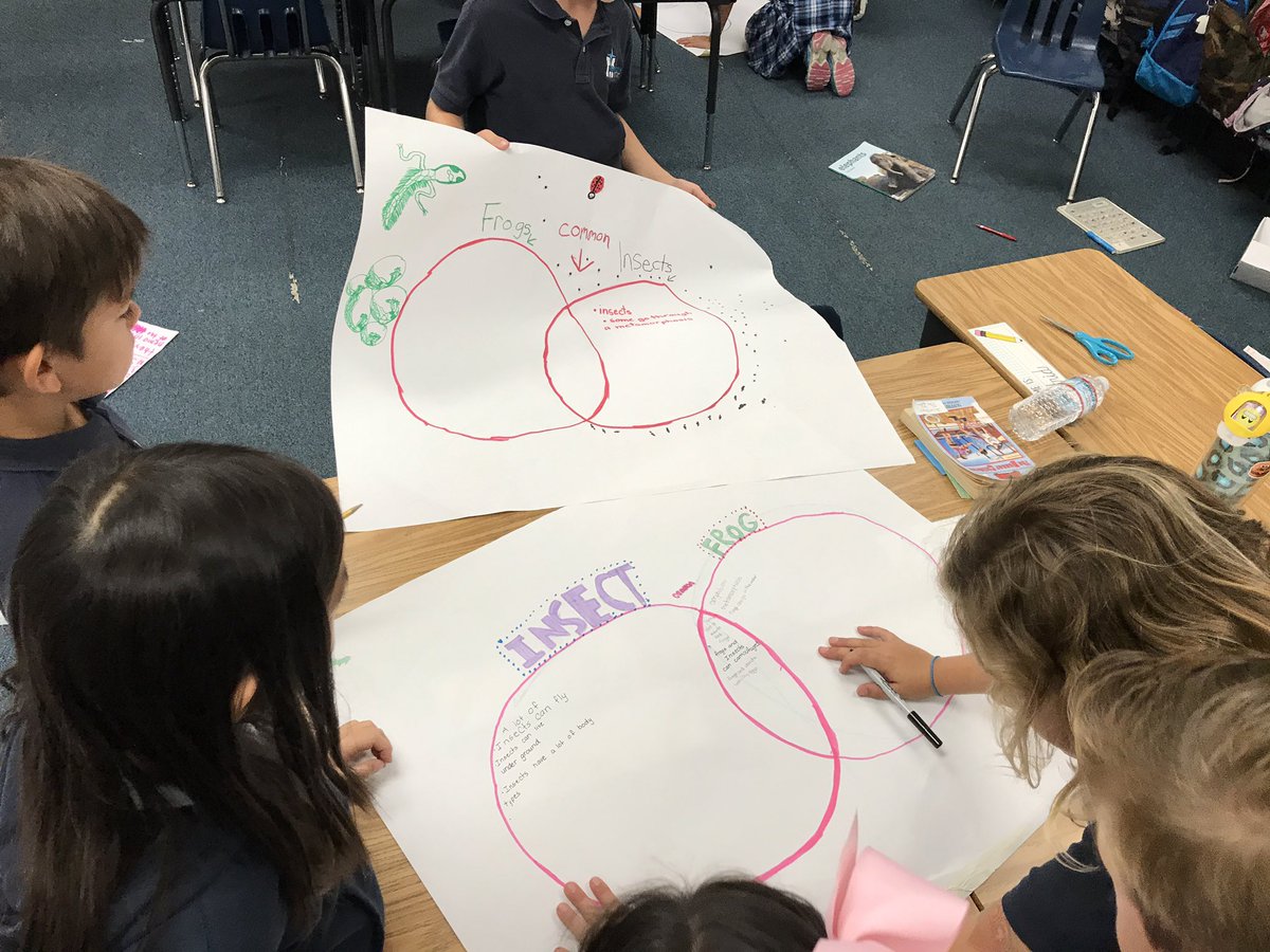 mrsgibo_MCS's tweet photo. 3G students working together to compare and contrast using their animal research! #mcsK8 https://t.co/impMN353TO