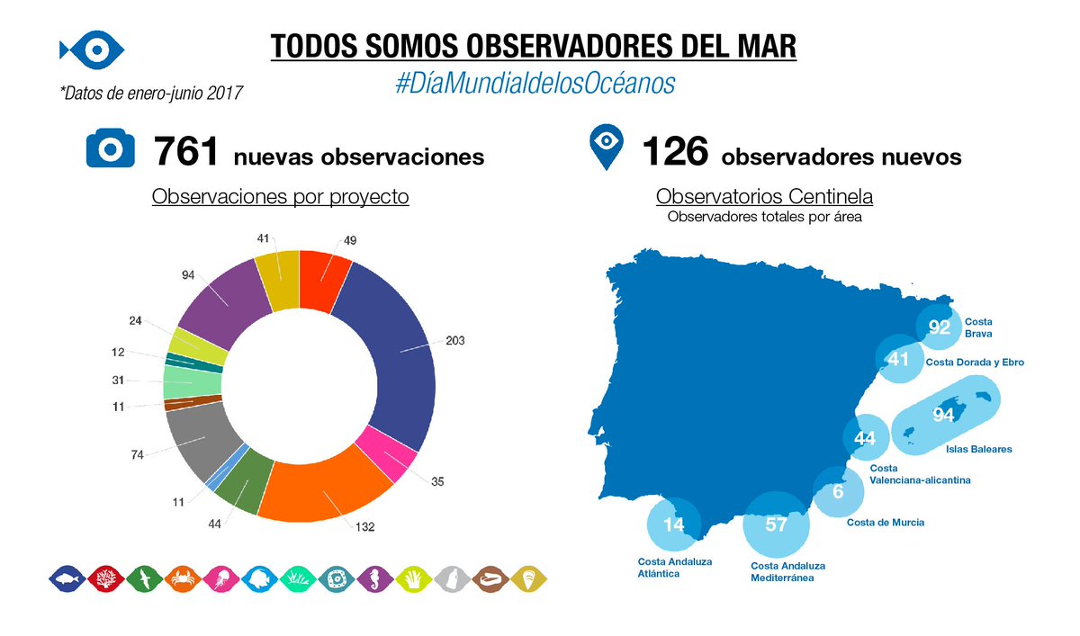 obsdelmar's tweet photo. Cada observación cuenta para conocer y proteger mejor nuestros mares ¡Mira cómo hemos crecido en 6meses! Feliz #DiaMundialdelosOceanos 😊💙 https://t.co/fYxROFN8Oi