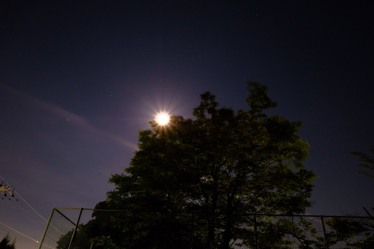 tsumitaphoto's tweet photo. 月が出てて、かつ光害がある場所でこれだけ綺麗に写るとは思ってなかった‼︎😲
早く山に行きたい⛰
#写真好きな人と繋がりたい #fujifilm https://t.co/TehBI78ToI