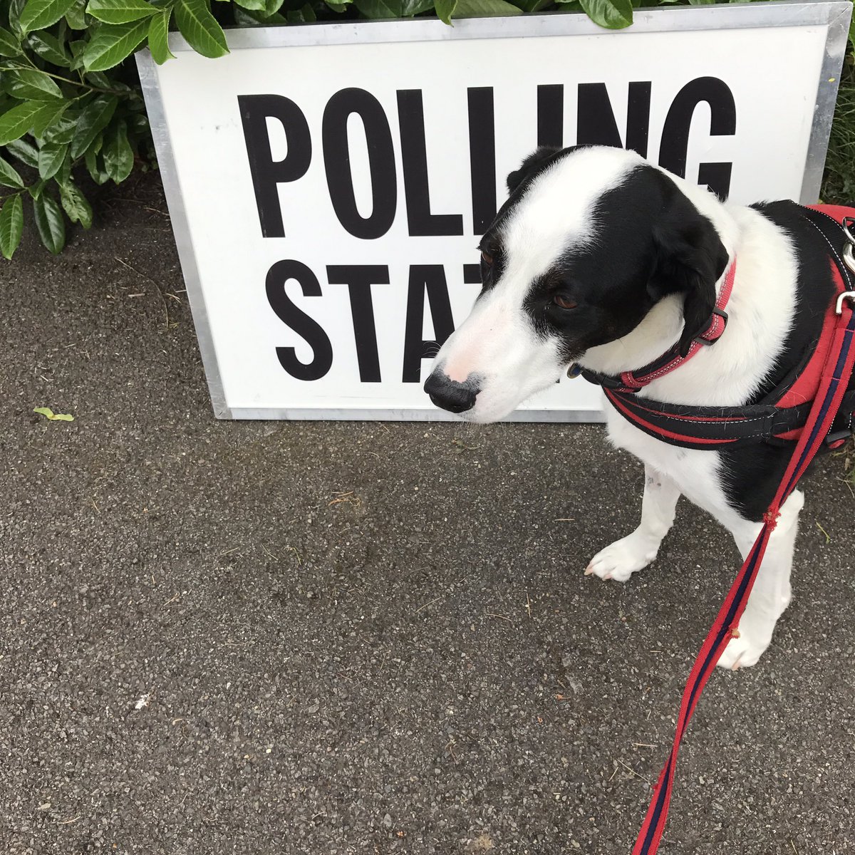 Jeremy Corbark! #dogsatpollingstations