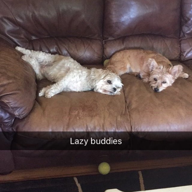 OldKingJoseph's tweet photo. Lazy Thursday 😴☀️ https://t.co/rn1F3DTAqX