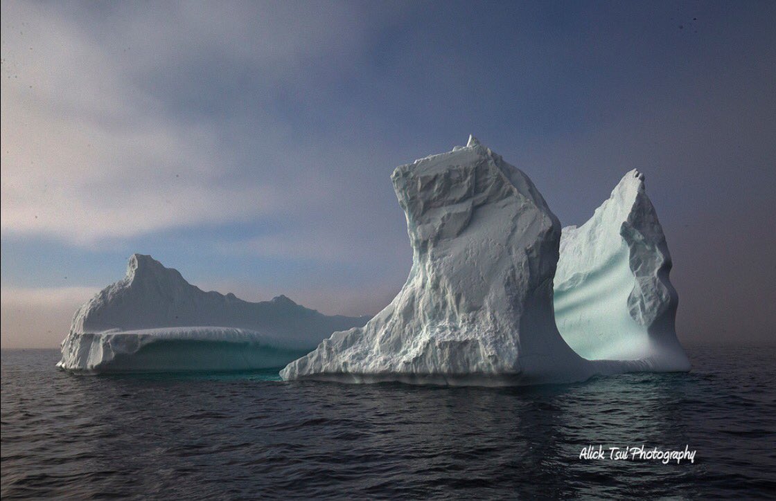 IcebergTweets's tweet photo. Great berg on the NE Avalon. MT @positively4ever: Beautiful berg #MotionBay #MaddoxCove #IcebergsNL Jun-6 https://t.co/ICHWrTflKq