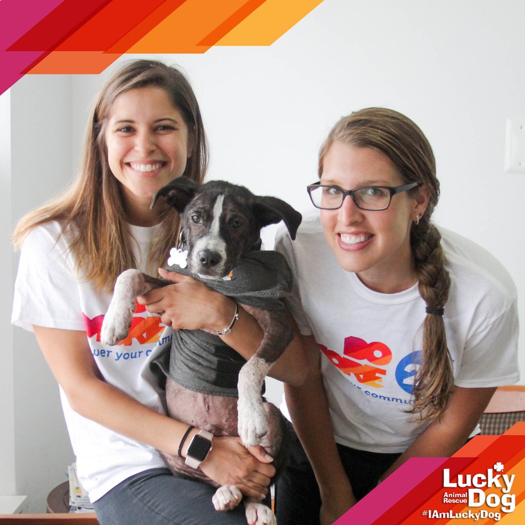 DCLuckyDog's tweet photo. Show your support today for Lucky Dogs & Cats in need by joining the #SelfiesForGood Challenge! #IAmLuckyDog #DoMore24 @UWNCA (1/2) https://t.co/HwU5hkXne5